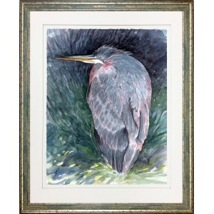 CL- IBIS